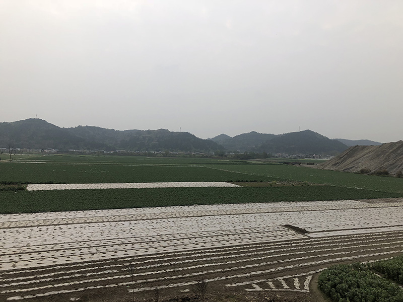 市、县领导现场调研天马50万吨玻瓶项目(图7)